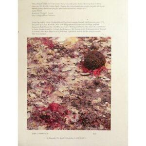 Barge Wood - Image 2