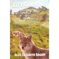 City Canyons